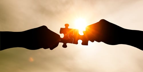 What do Tinder, Transplants and Testing have in common?